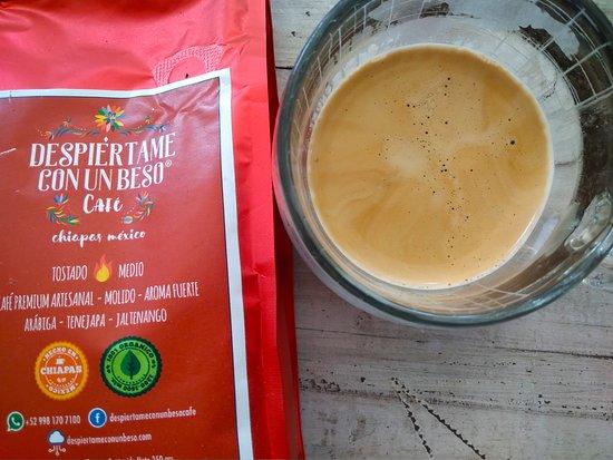 Viva la Vida Puerto Morelos